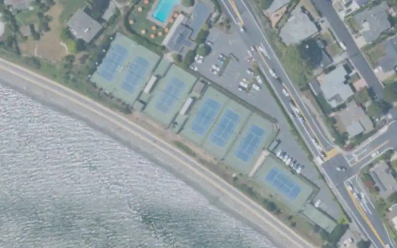 Belvedere Tennis Club photo 2