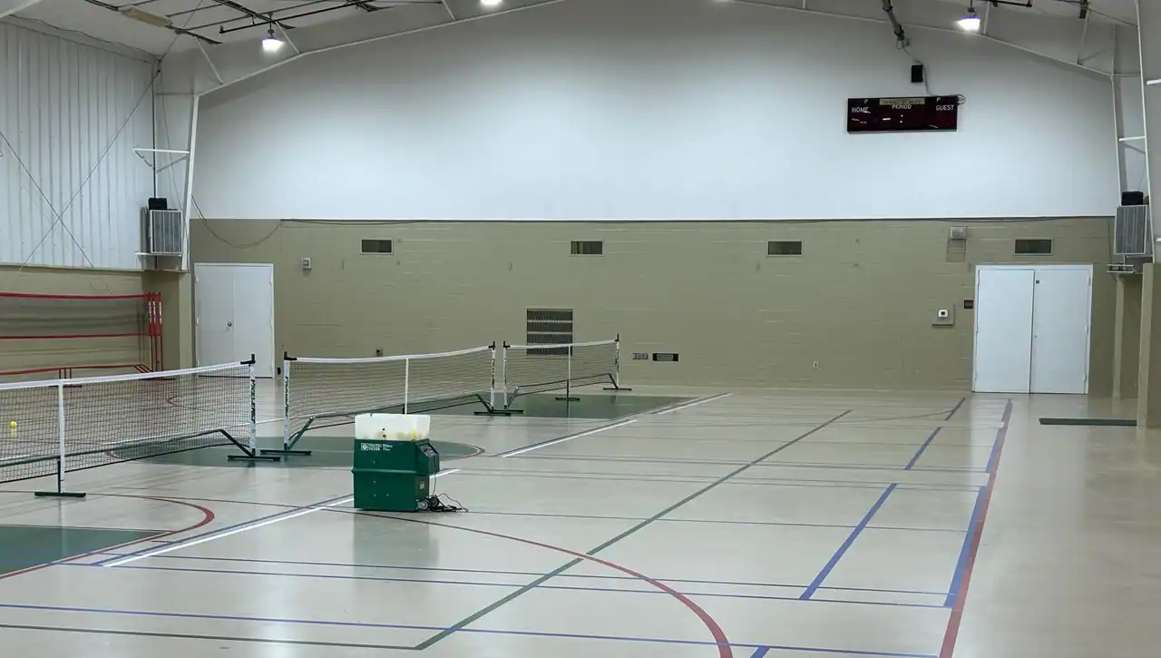 Rally Niagara Badminton & Pickleball - Zion Dominion photo 4