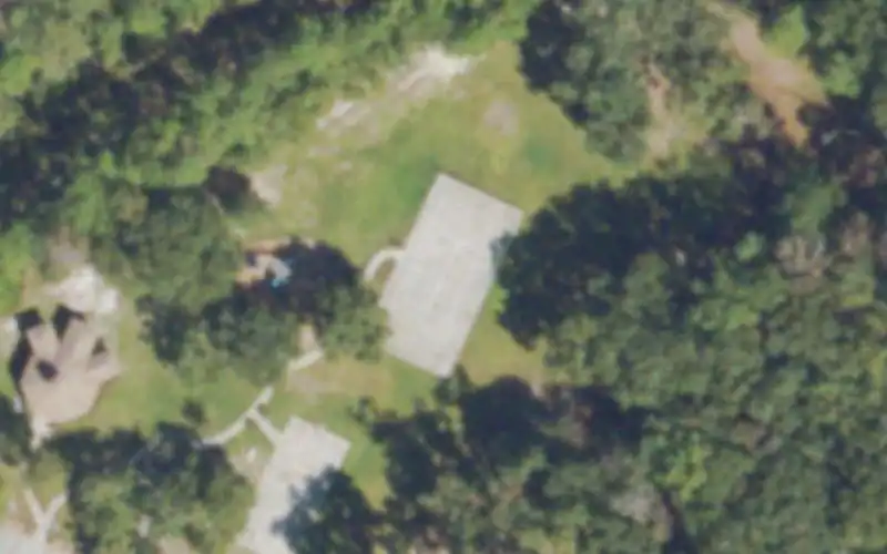 Harrietts Bluff Community Park photo 3