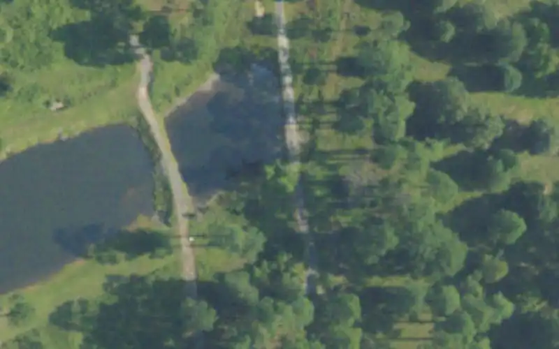 Dogwood Hills photo 2