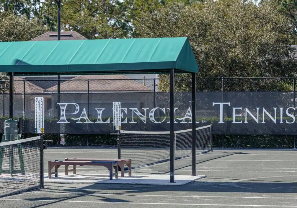 Palencia photo 3