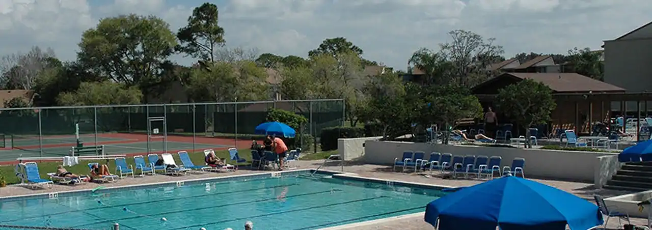 Bird Bay Village photo 4