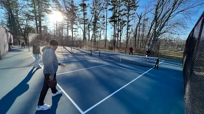 Nelson Ball PB Courts photo 2