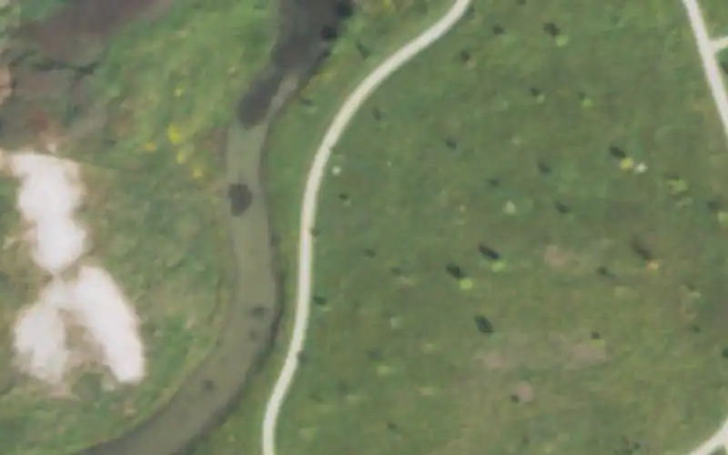 Knoch Park Tennis Courts photo 2