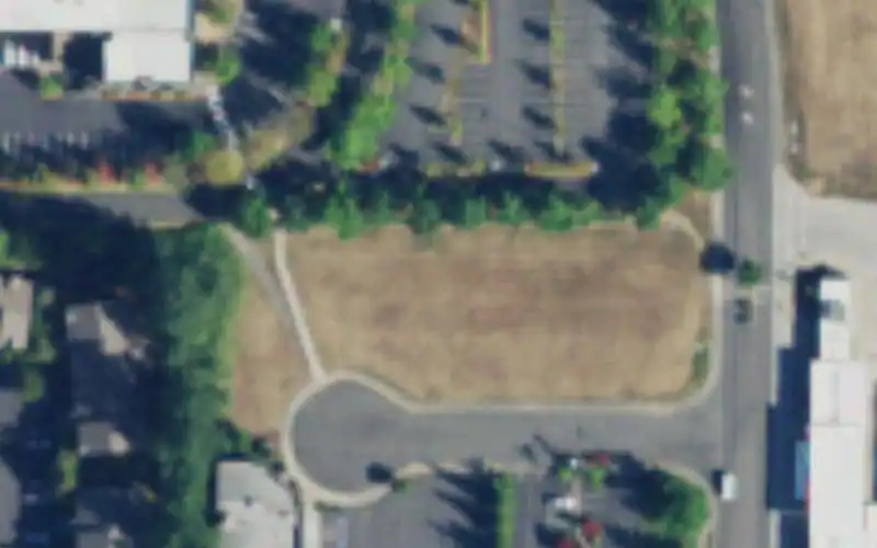 Volli Bellingham photo 4