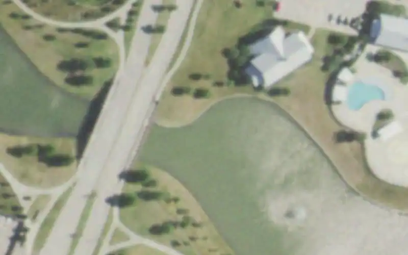 Light Farms photo 3