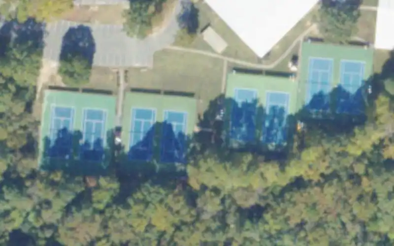 Raintree Swim and Racquet Club photo 2