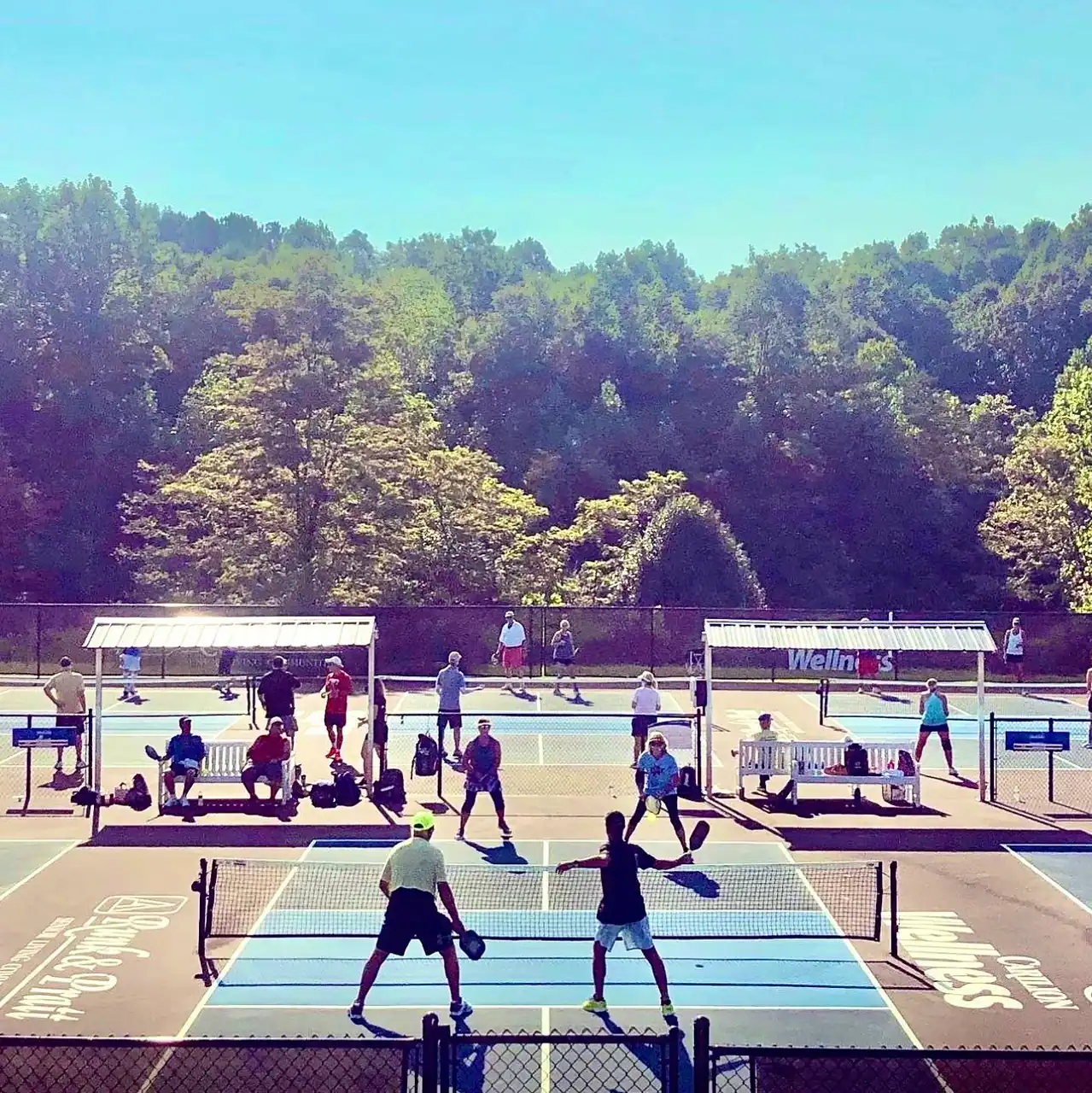 Crosswhite Athletic Club SML photo 2