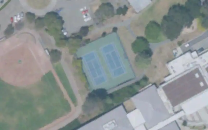 Castro Park photo 4