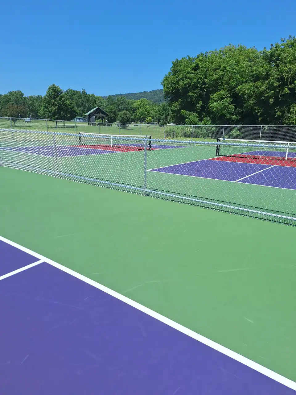 Naples Rotary Pickleball Complex photo 3