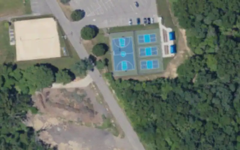 Blueberry Hill Franklin Park photo 2
