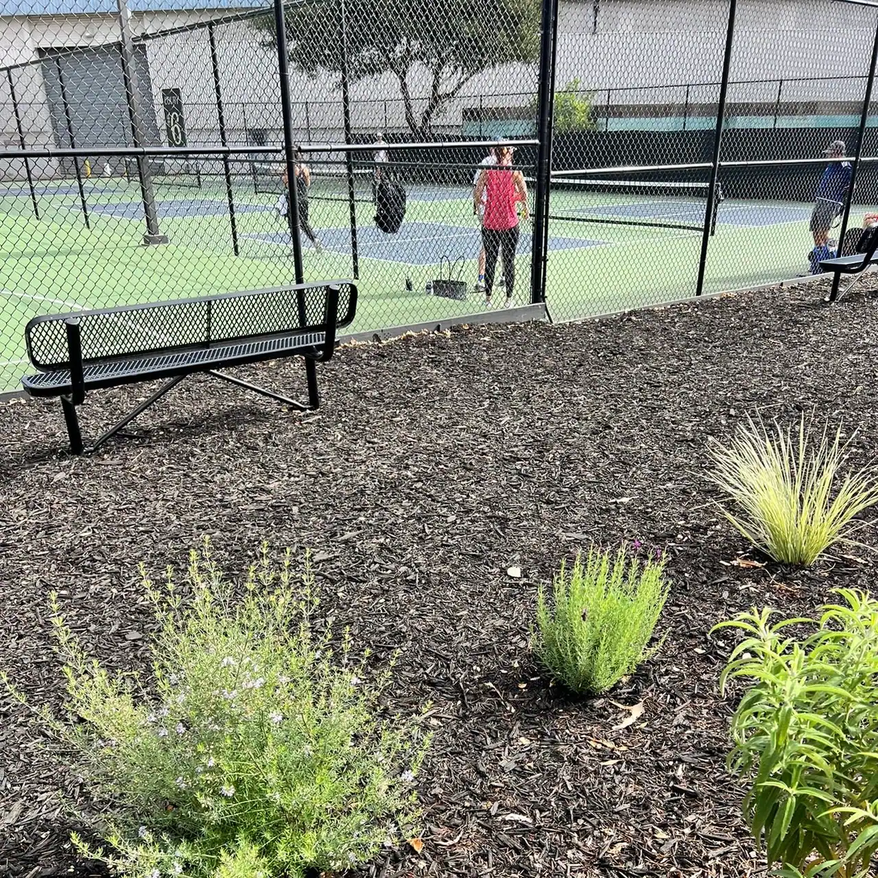 Mare Island courts photo 2
