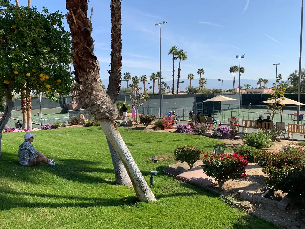Palm Desert Tennis Club photo 2