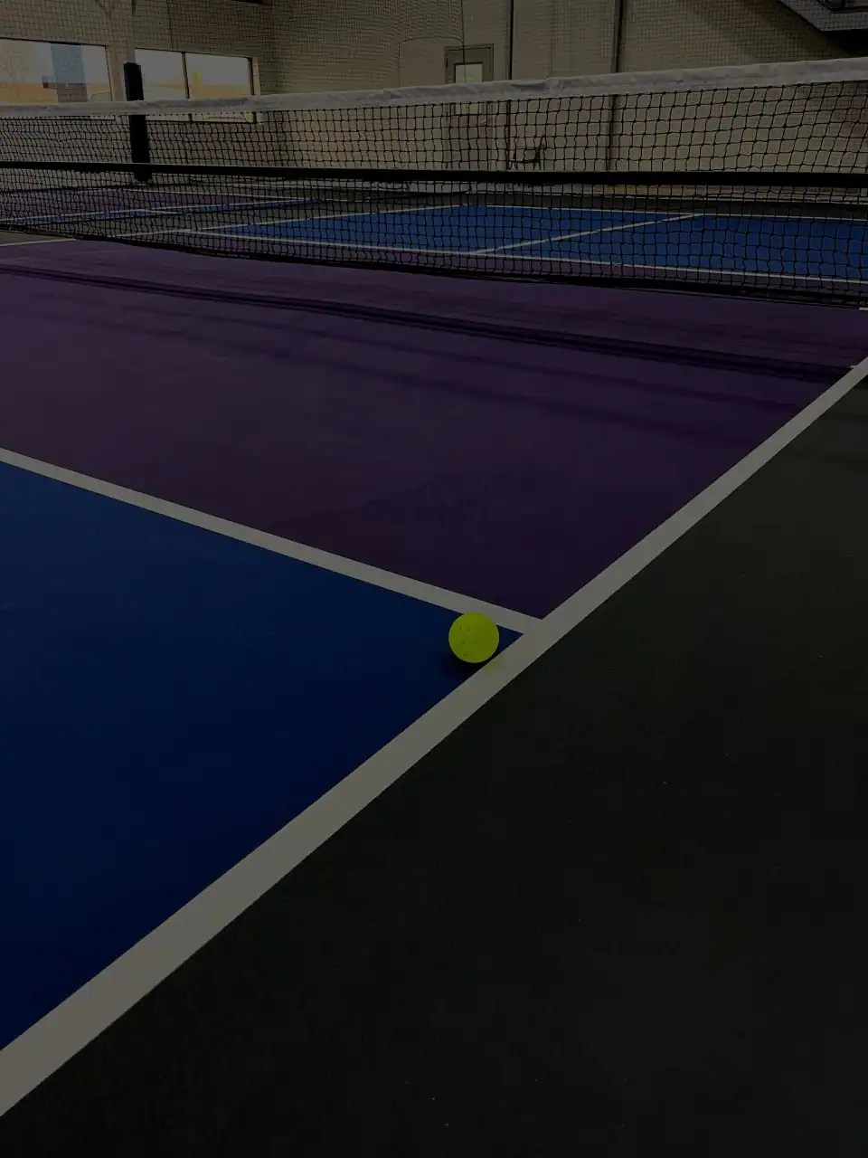 All In Pickleball Gym (Cedar Rock) photo 4
