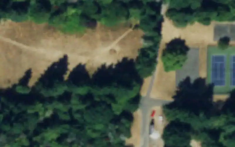 Discovery Park Tennis and Pickleball Courts photo 3