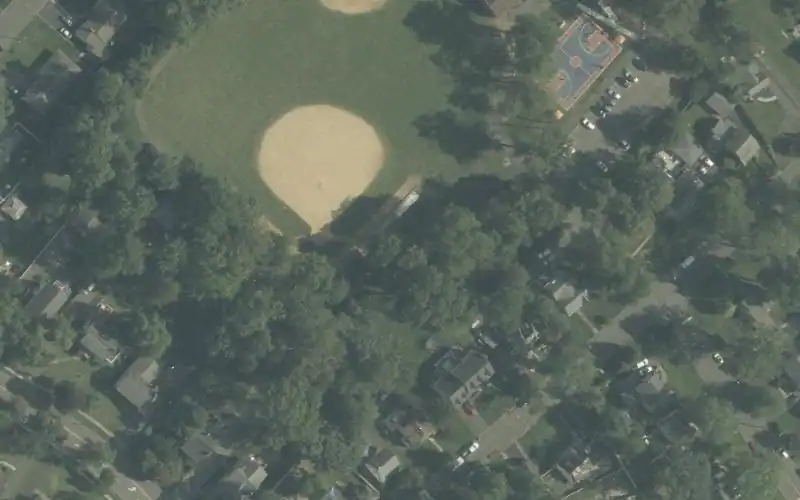 Forest Road Park photo 2