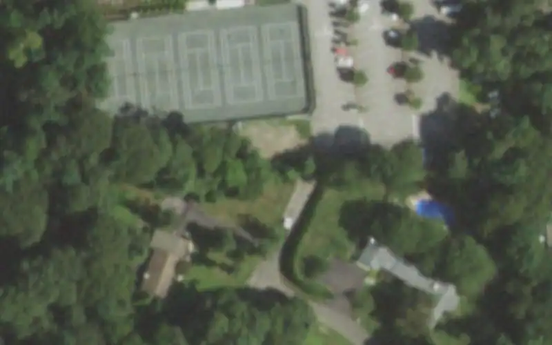 The Head of the Bay Club photo 2