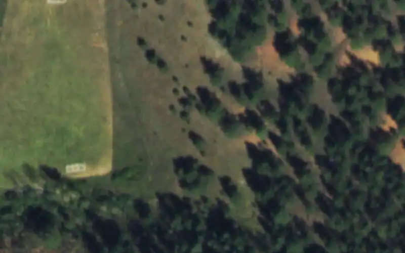 Blue Mountain Ranch Camp photo 2