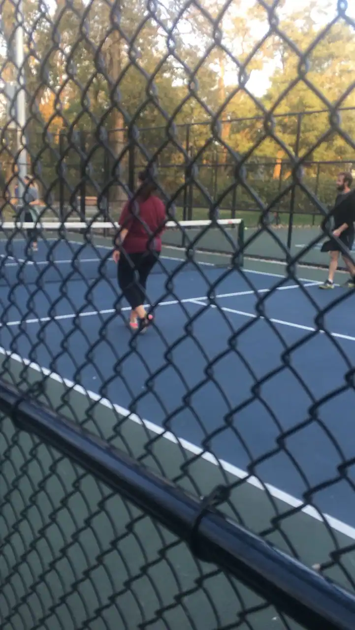 North Arlington Pickleball Courts photo 2