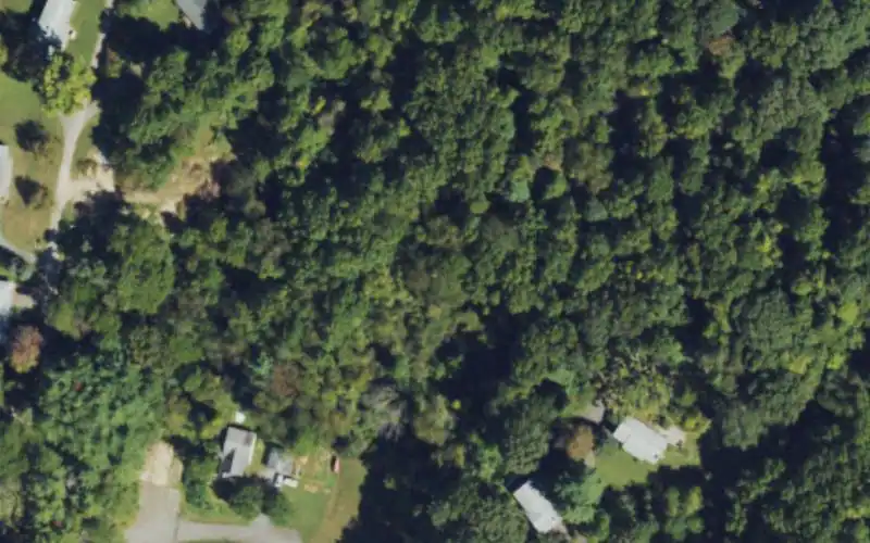 Mount Pisgah Academy photo 2