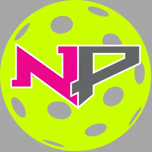 Net Panic Pickleball photo 4