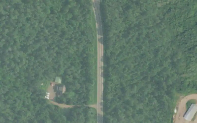 Birch Grove School photo 2