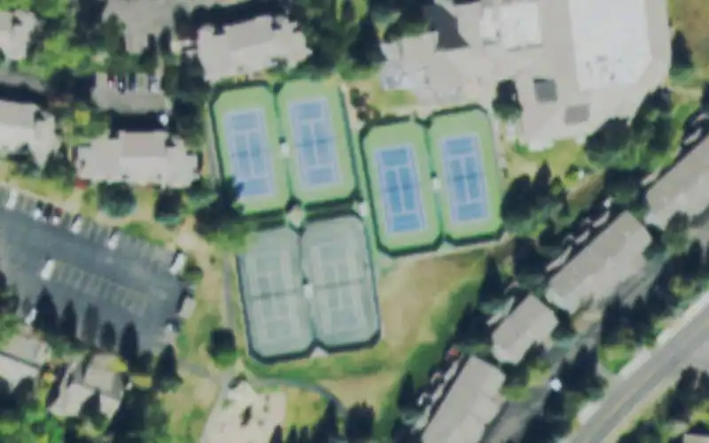 Homestead Court Club photo 2