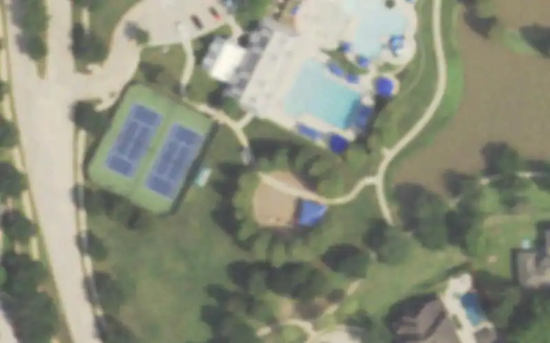 Long Meadow Farms photo 2