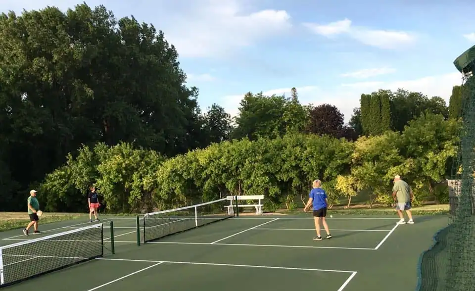 Ortonville Pickleball photo 2