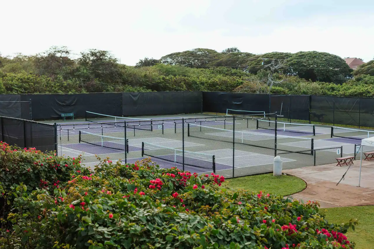 Poipu Beach Athletic Club photo 2