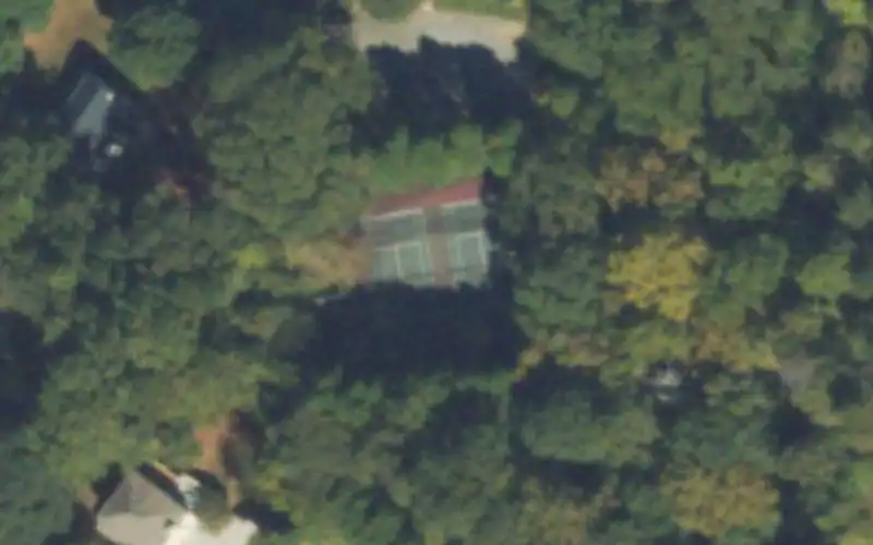 Cricket Swim & Racquet Club photo 2