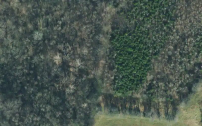 College Grove Rec photo 2