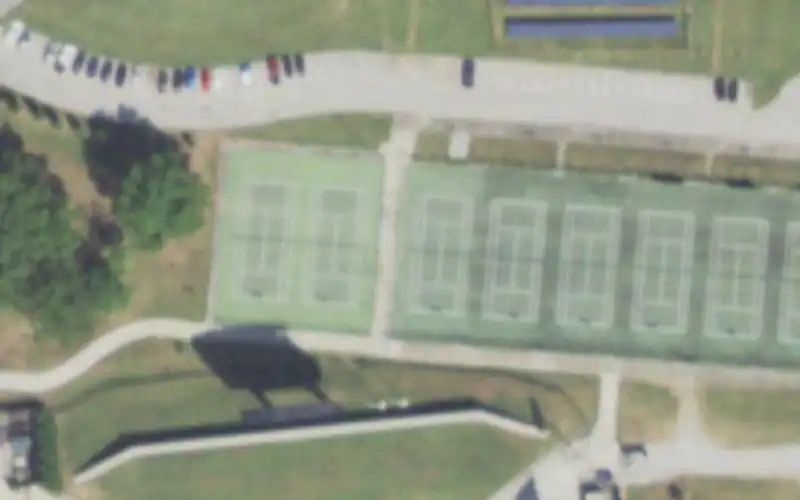 Saluki Courts photo 2