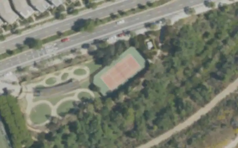 Randy Johnson Park Bluff Creek Fields photo 2