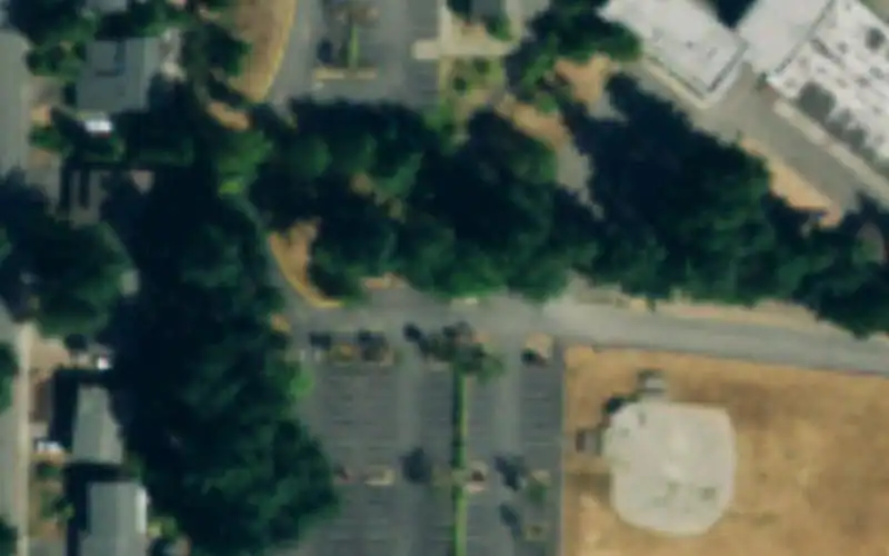 Federal Way Boys and Girls photo 2