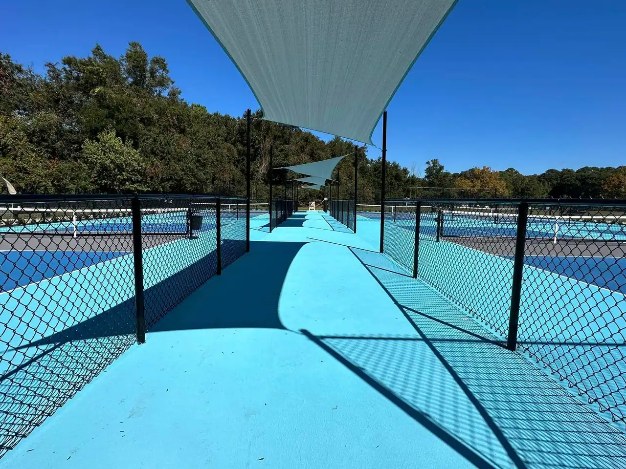 Hilton Head Island Park (Adrianna) photo 3