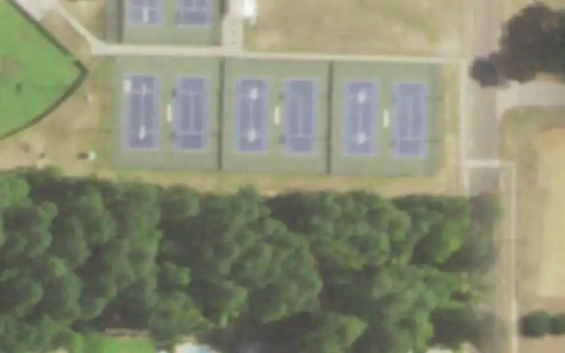 Pine Tree ISD photo 2