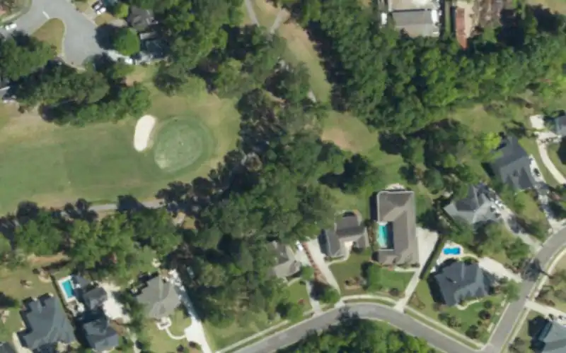 Shadowmoss Plantation Golf Club photo 2
