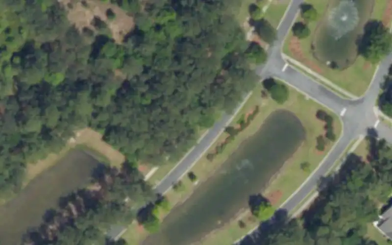 The Haven (Del Webb) photo 2