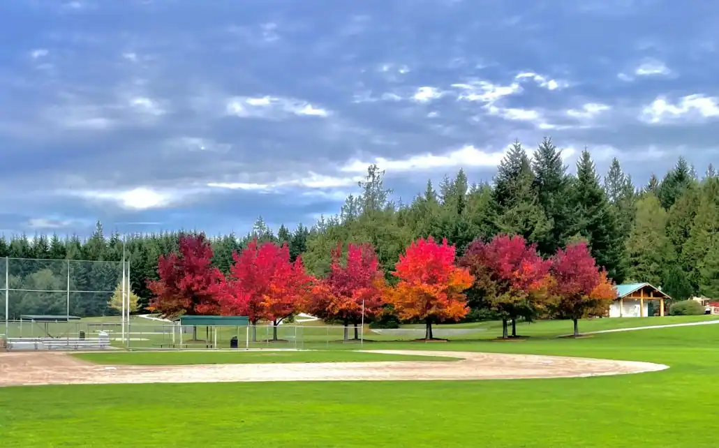 South Whidbey Community Center - South Whidbey Parks & Recreation photo 2
