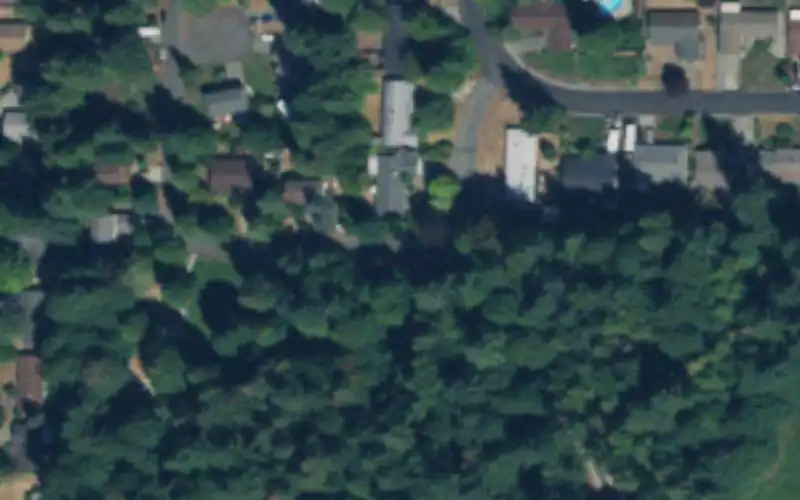 Wonderwood Park photo 3