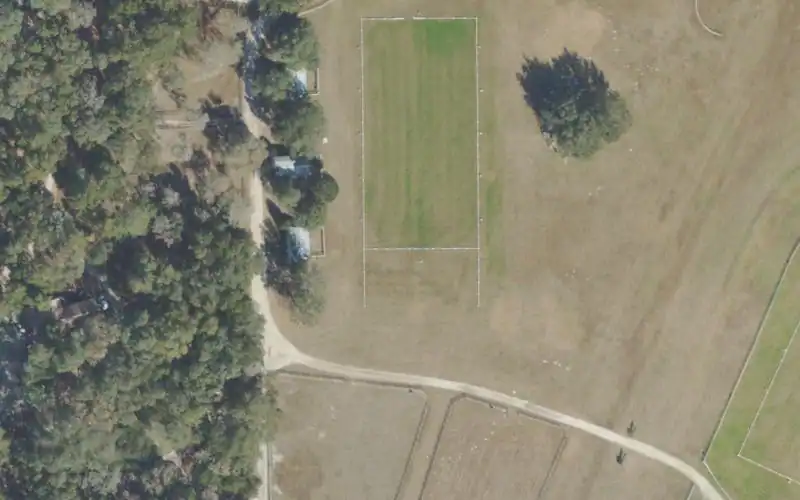 The Grand Oaks Resort photo 3