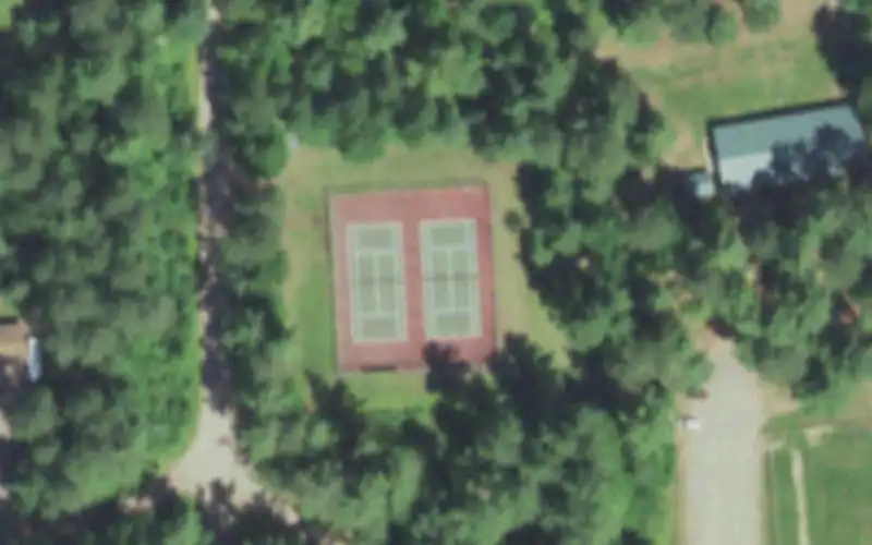 Lol Pickleball photo 3