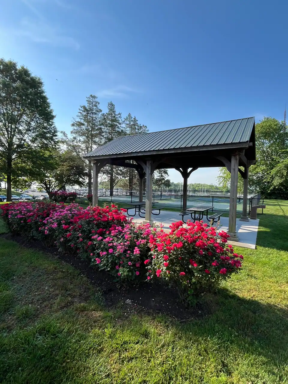 Millard Tydings Memorial Park photo 2