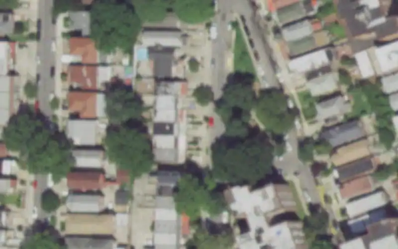 Bronx House photo 3