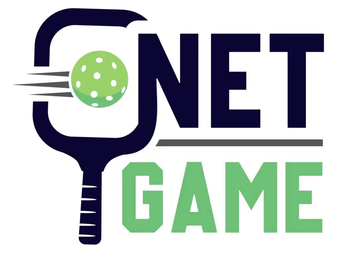Net Game photo 2