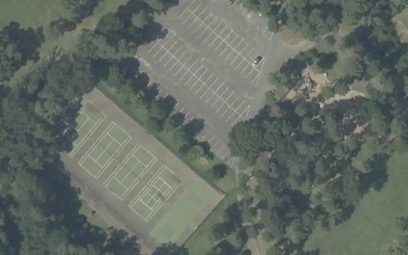 Pine park photo 2