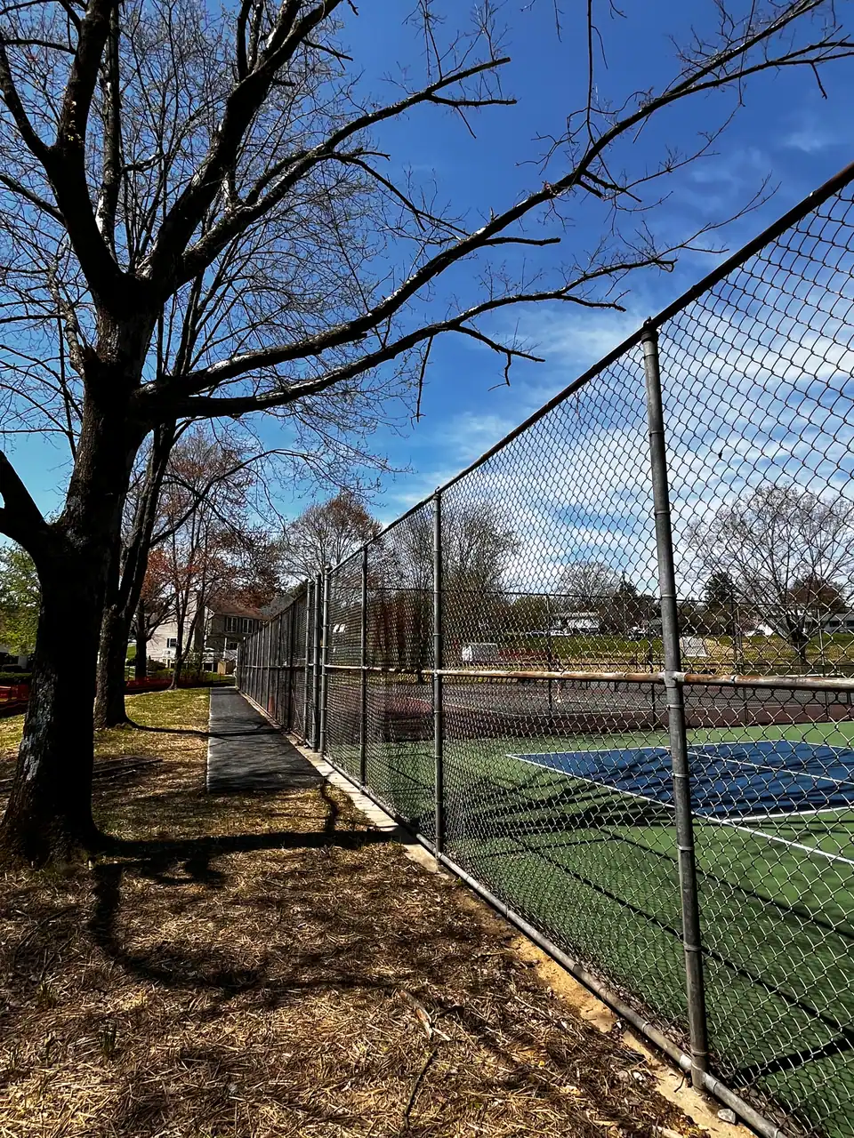 Homestead Park photo 3