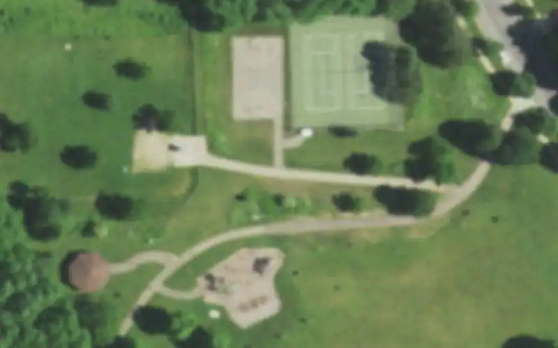 Walnut Grove Park Dog Park photo 2