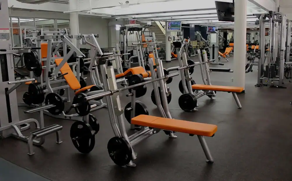Lakeshore Sport and Fitness Club photo 2